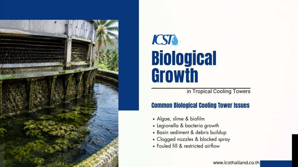 Alt text: Close-up of a biological growth buildup inside a tropical cooling tower, showing algae and sludge accumulation on the structure.
